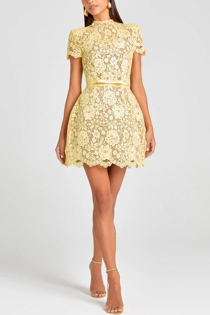 Elegant Lace Mini Dress (Belt Not Included)